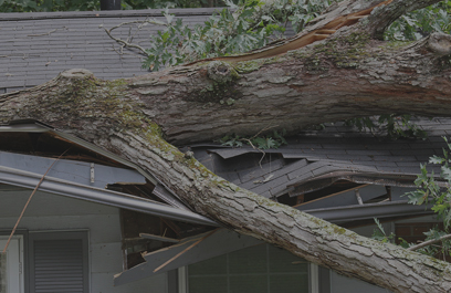 tree branch damages roof