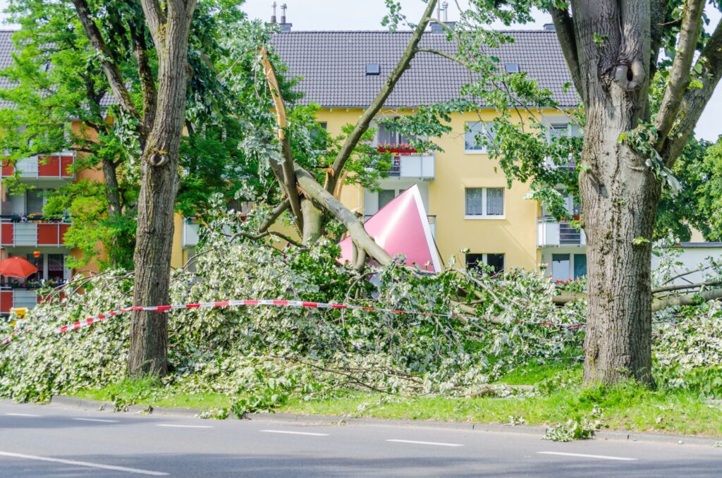 insurance policy
